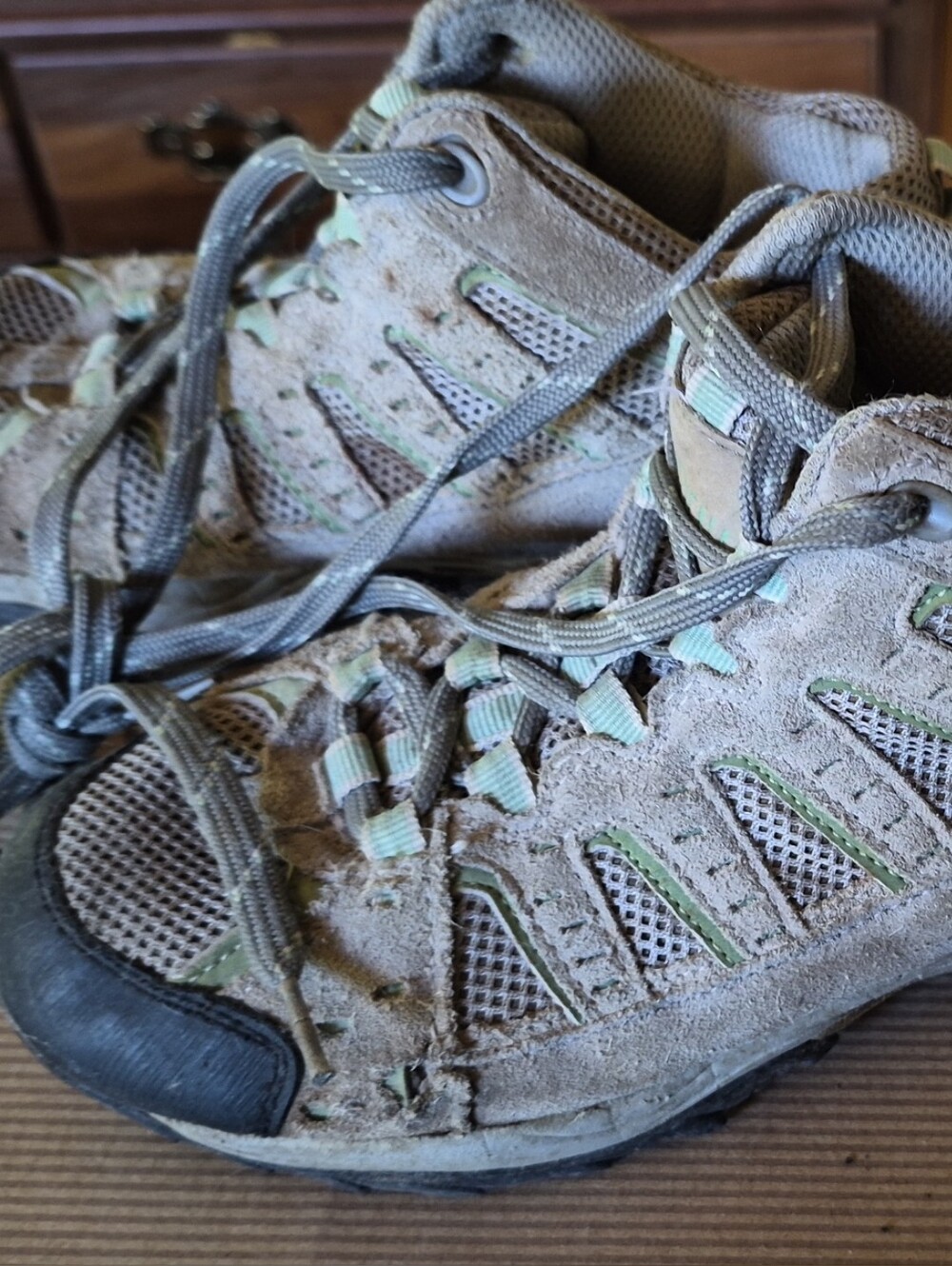 Womens Gray & Light Green Denali Hiking Boots